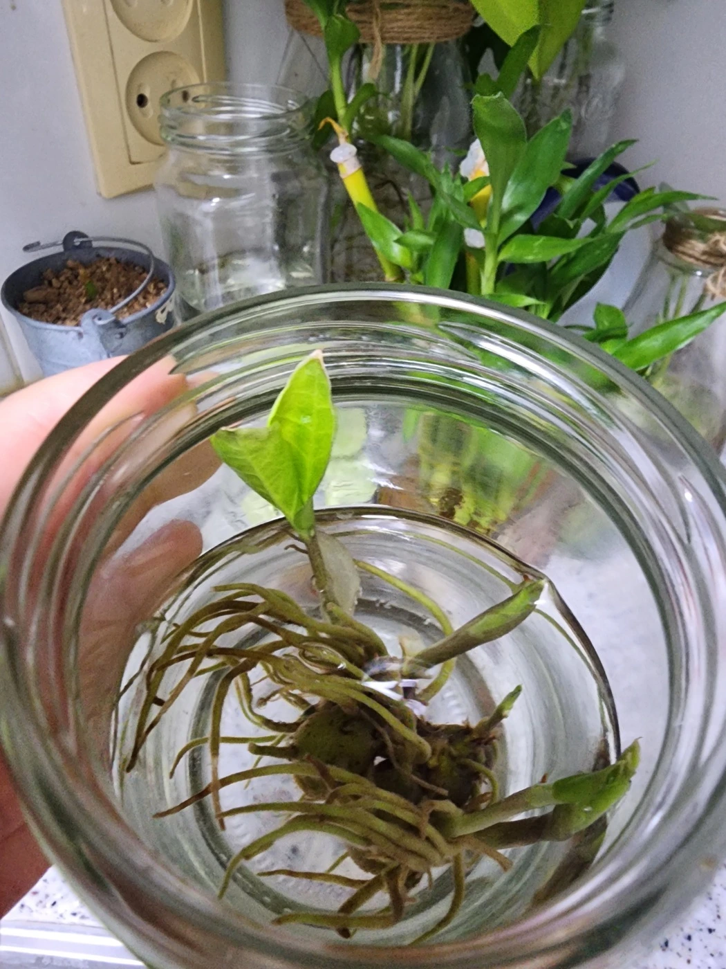 KakaoTalk_Photo_2023-12-29-08-28-52 002.jpeg