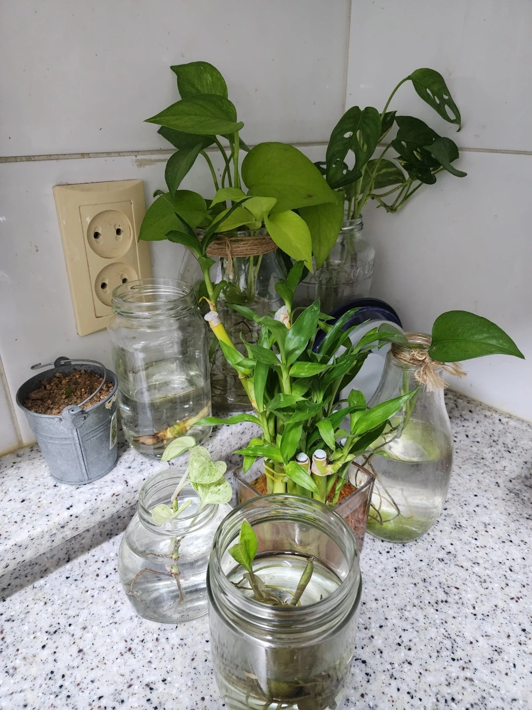 KakaoTalk_Photo_2023-12-29-08-28-52 001.jpeg