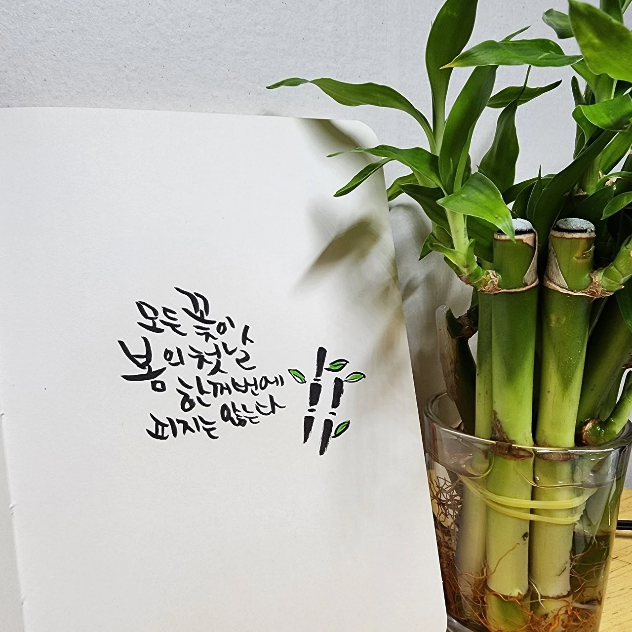 KakaoTalk_Photo_2023-08-16-14-03-25.jpeg?type=w1600