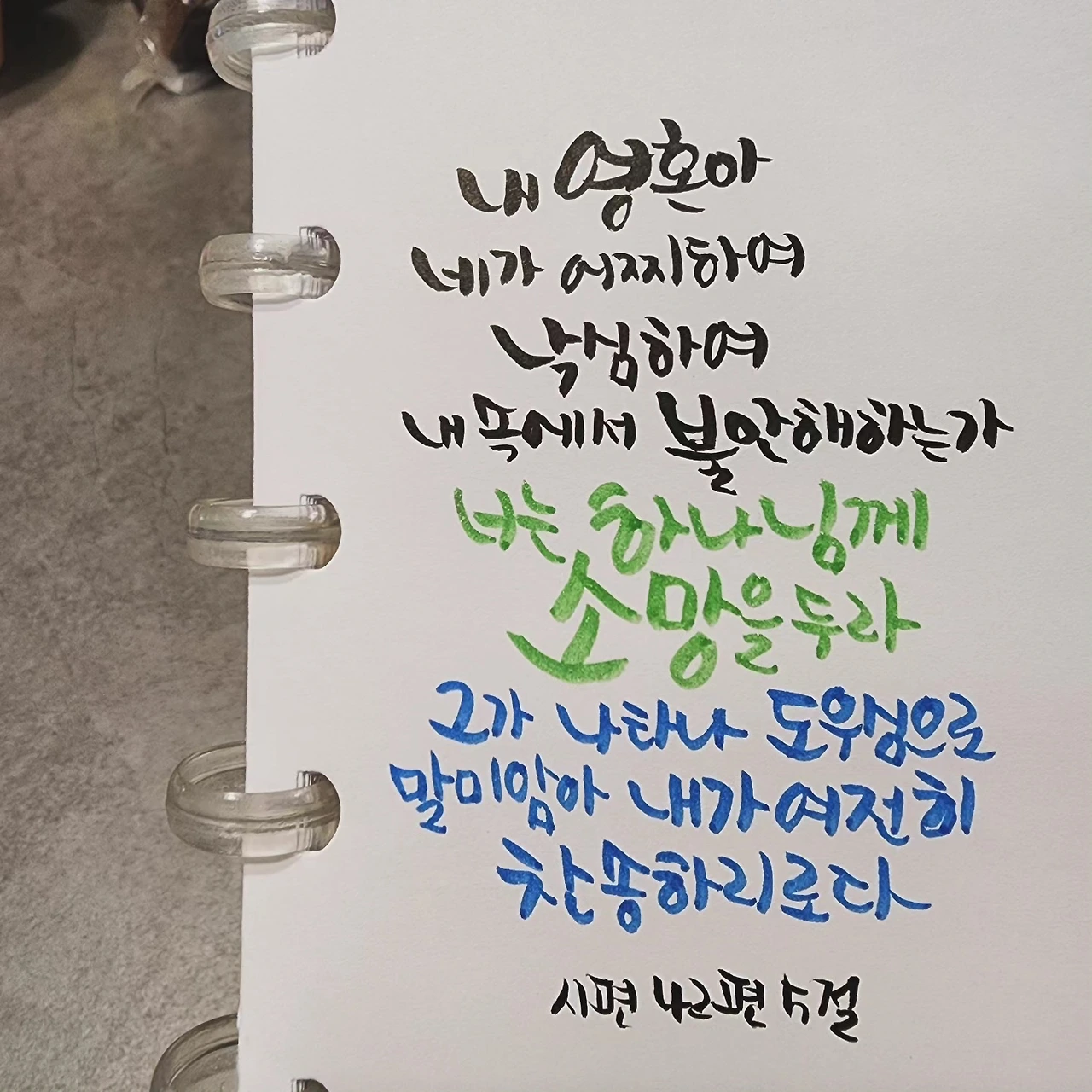 KakaoTalk_Photo_2023-12-29-08-28-53 004.jpeg