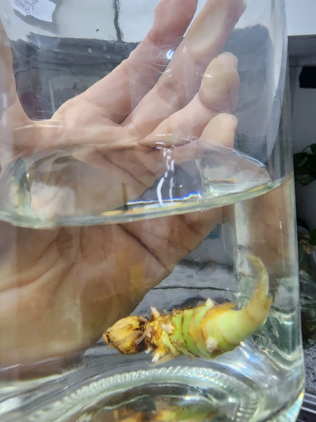 KakaoTalk_Photo_2023-12-29-08-28-53 003.jpeg