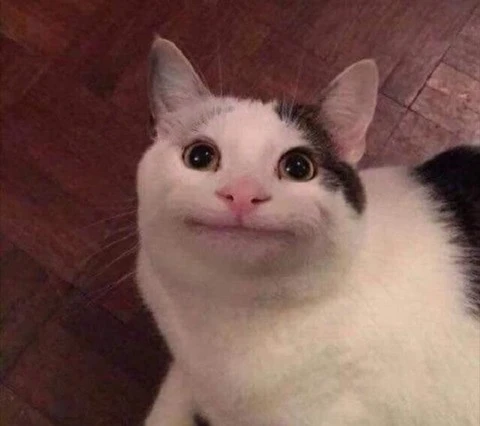 GHvddpPJDzhvPkqYxJFPY_TMRSTf1yf9336aX58oa3IqKofa-wuj_vfRHCafNKN0LVs_fcNLrT3quGA5WAFCWSxvjb0wg2JTkF7CeG-rd8G2t1g86Wx28VRrl2oGPlhB7-1DObXCkMel2XAFccFLx_tNeCEvOta_LczzyabTuAxsHP4FlHBIt3WHJLuJK_Ydt5IMjhqiGBo9uv_LNLYHMvelhnlEJAtqAMyXv7rqmI2D5kyDFkYwGEBzA_13zIYynjmZaAPPuv8J_rb7QyTekGeVjN-p3dyzkPEL1OD8WfEK855Mfg