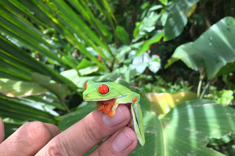 SE-1f226885-fcd6-4832-ac97-92f644f307a7.jpg?type=w1