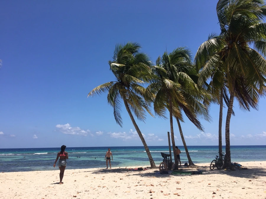 IMG_0757.JPG?type=w1