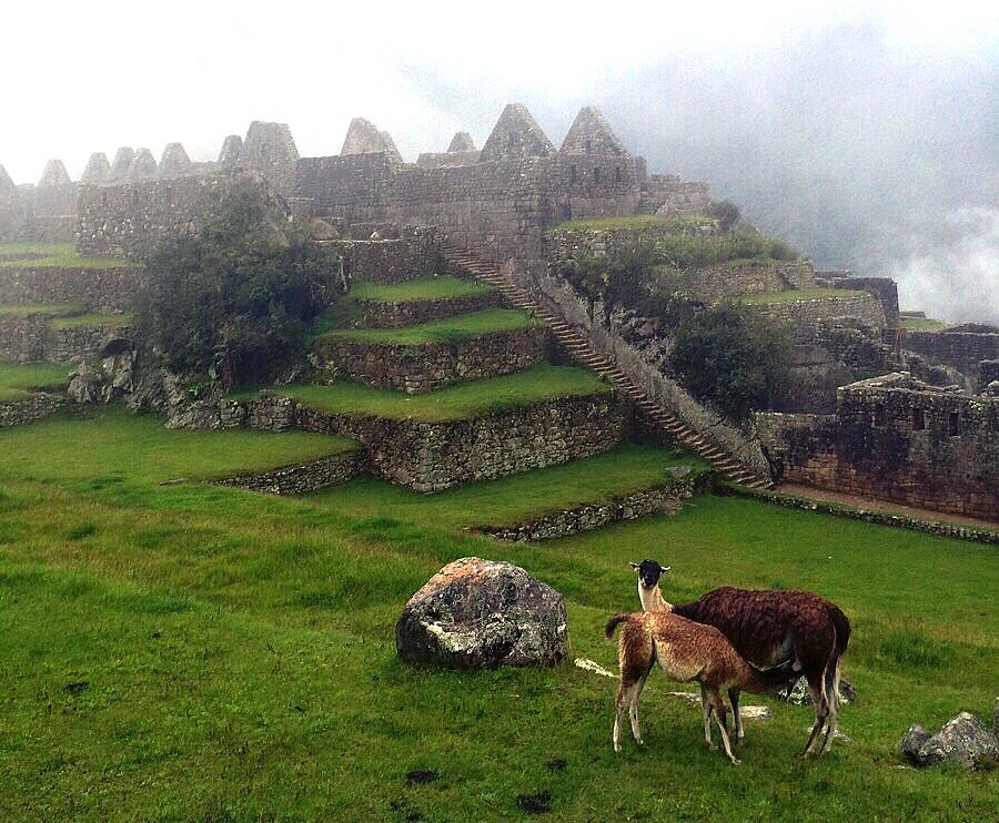 output_2033712312.jpg?type=w966