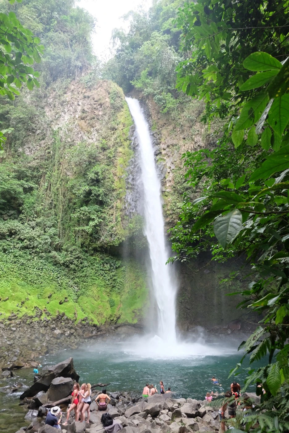 DSCF8685.JPG?type=w1