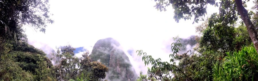 output_2846247911.jpg?type=w966