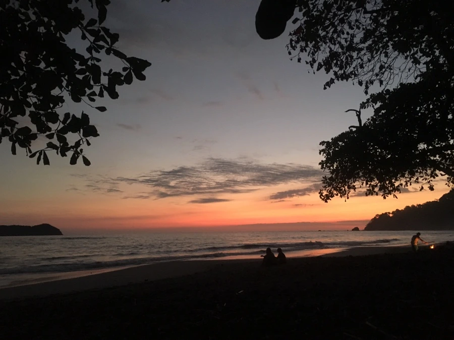 IMG_8222.JPG?type=w1