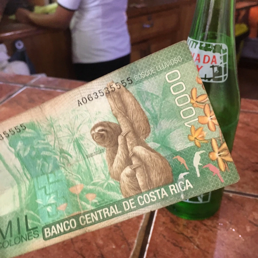 IMG_9117.JPG?type=w1