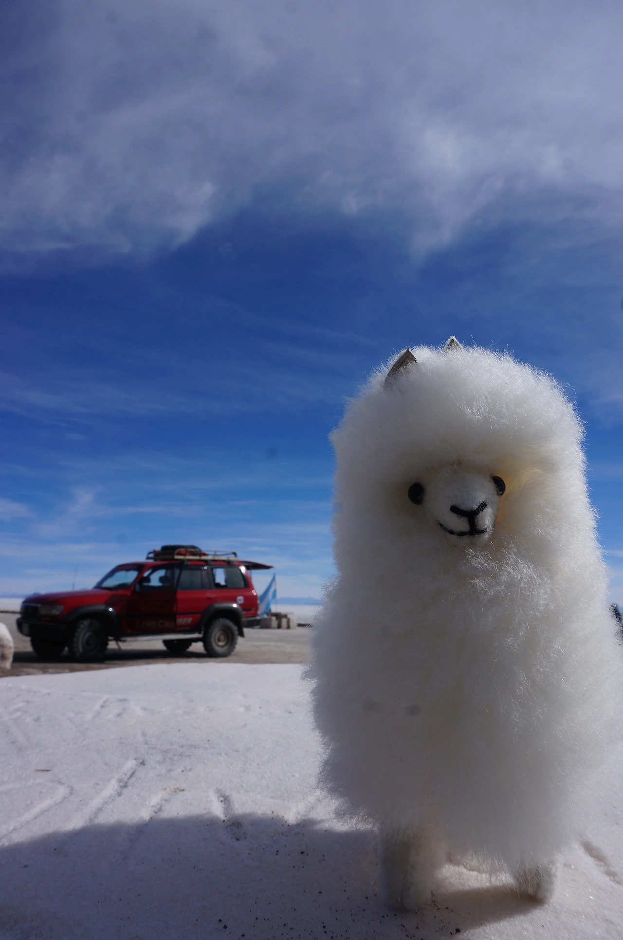 DSC06361 복사본.jpg