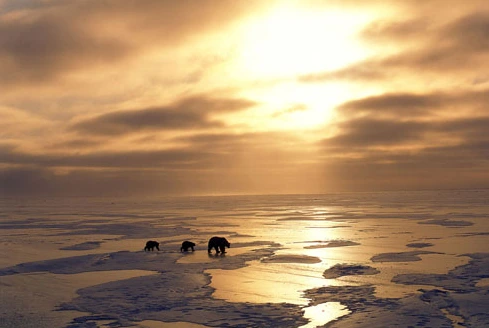 2649EB3A53A915721BCB9C