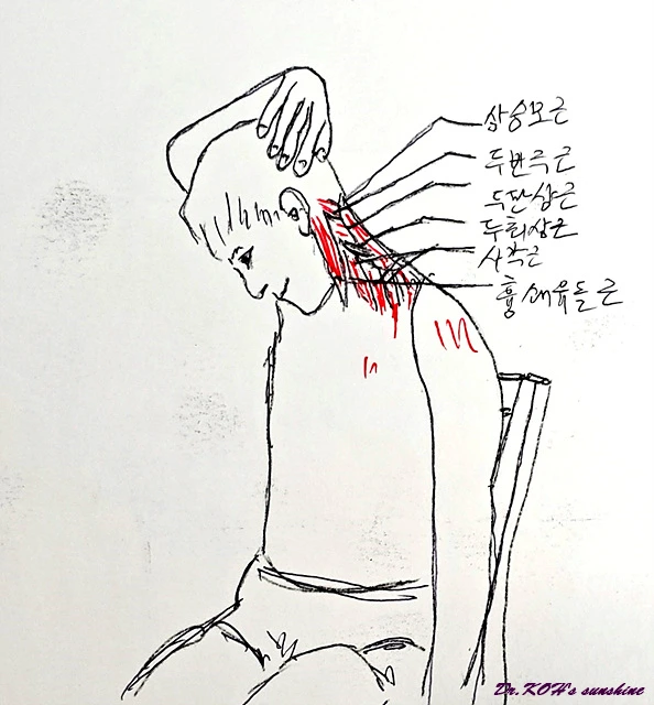 KakaoTalk_20240417_150652830.jpg?type=w773