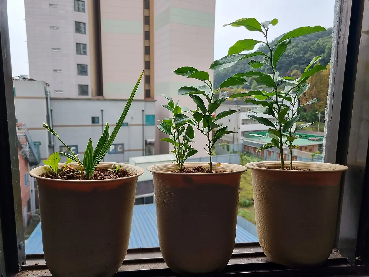 387800313_10219959291773159_7669016519844284839_n.jpg?_nc_cat=104&ccb=1-7&_nc_sid=5f2048&_nc_ohc=TVID0x-IaIMAX8bP2iJ&_nc_ht=scontent-ssn1-1.xx&oh=00_AfCqBNj7JLRGDKKRdNzKr8z80-FhV1FaPbrILxlIpYWYSA&oe=652E4B37