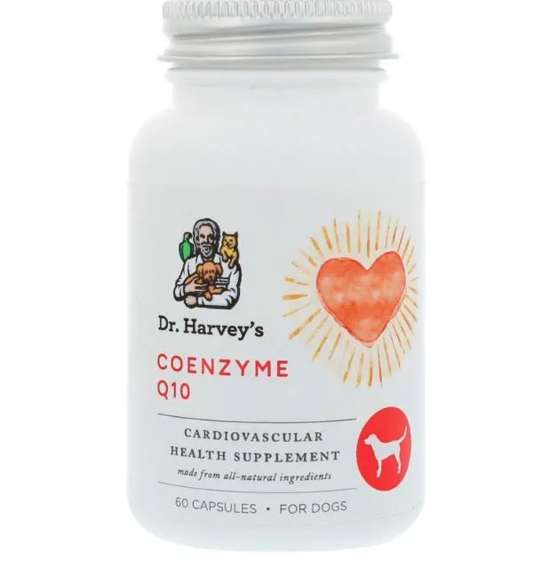 03 코엔자인Q10.JPG