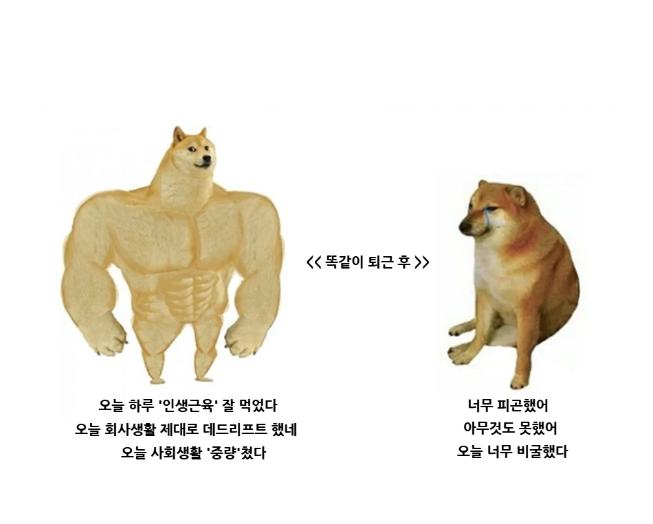 jjalbang_image_1.png?type=w966