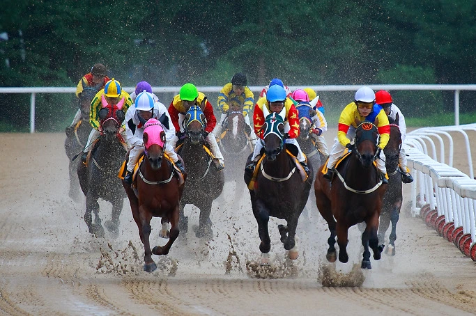 27551A4852B5A9E92D43A7