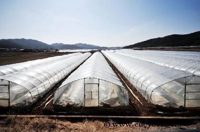 mug_obj_13968647358874671.jpg?type=w1080