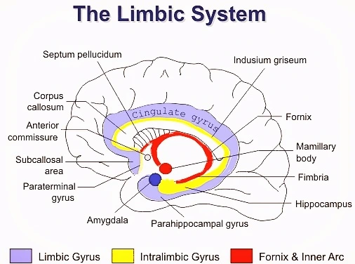190A9C4C501EACE9099EC5