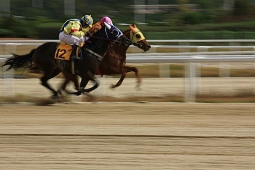 166F91414FE01477176A4A