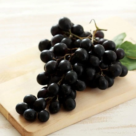 mug_obj_139686552889285270.jpg?type=w1080