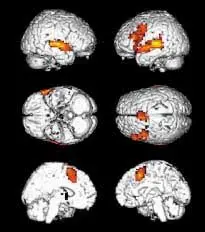 463441811_27285808404367562_8649315096636335640_n.jpg?_nc_cat=108&ccb=1-7&_nc_sid=127cfc&_nc_ohc=mnl1mDxX5BcQ7kNvgF_0qOT&_nc_ht=scontent-ssn1-1.xx&_nc_gid=A_xlBDr5WECaiuCdS9g2sMs&oh=00_AYDxTz4lZWCn0zwjWjtteesrZp4vS113XuHlLCFp2mvV0Q&oe=671521DB