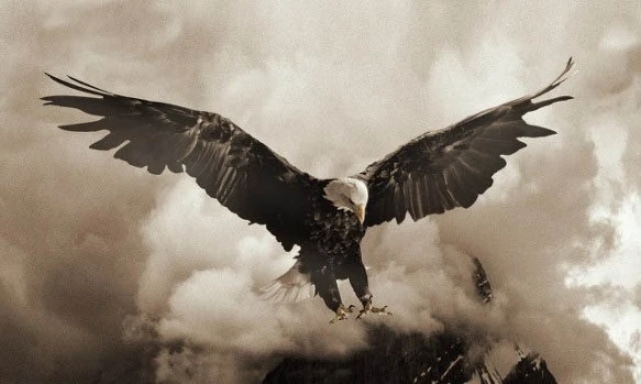 mug_obj_139927874069182578.jpg?type=w1080