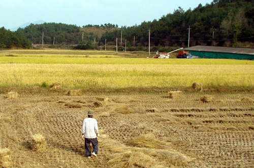 175C9E47508412063BCD5E