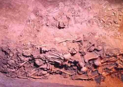 19645E4450AE43E1294528