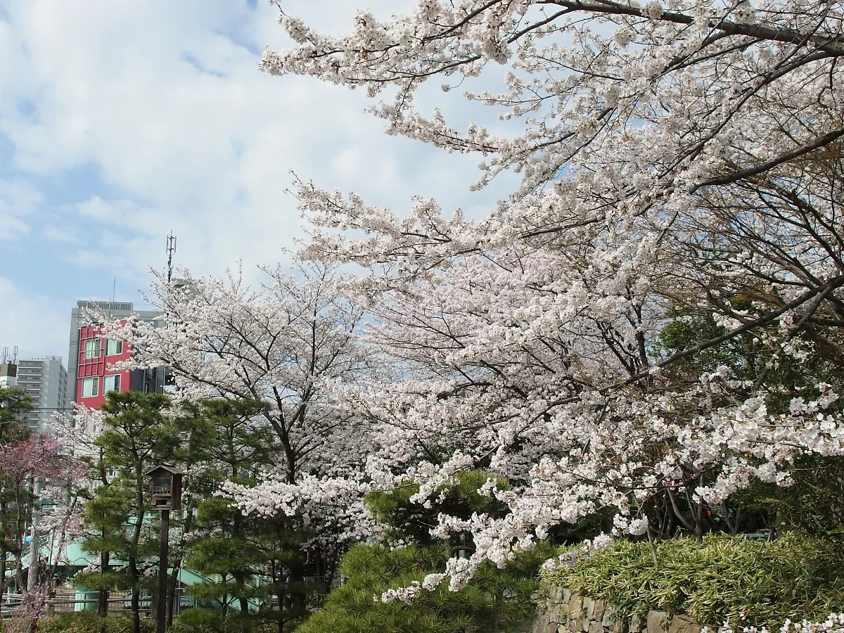 13593271673_68ed4bc396_k.jpg?type=w1200