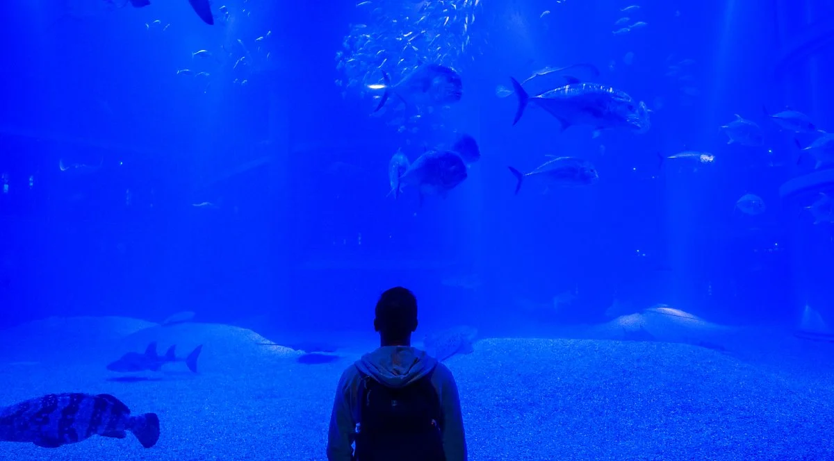 30598402106_d3bebce0c8_k.jpg?type=w1200