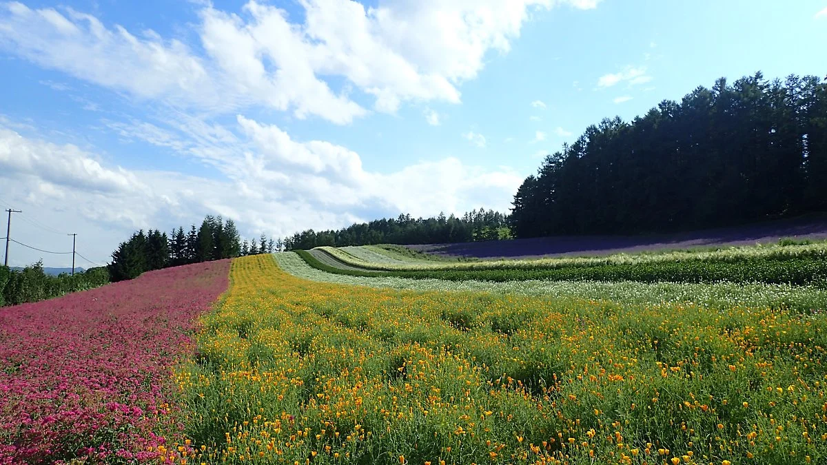 0719_%ED%9B%84%EB%9D%BC%EB%85%B8_jeff.jpg?type=w1200