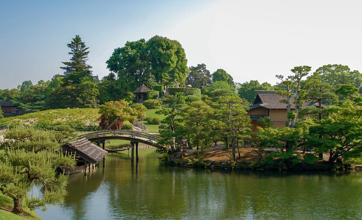 %EA%B3%A0%EB%9D%BC%EC%BF%A0%EC%97%94_%EC%A0%95%EC%9B%90.jpg?type=w1200