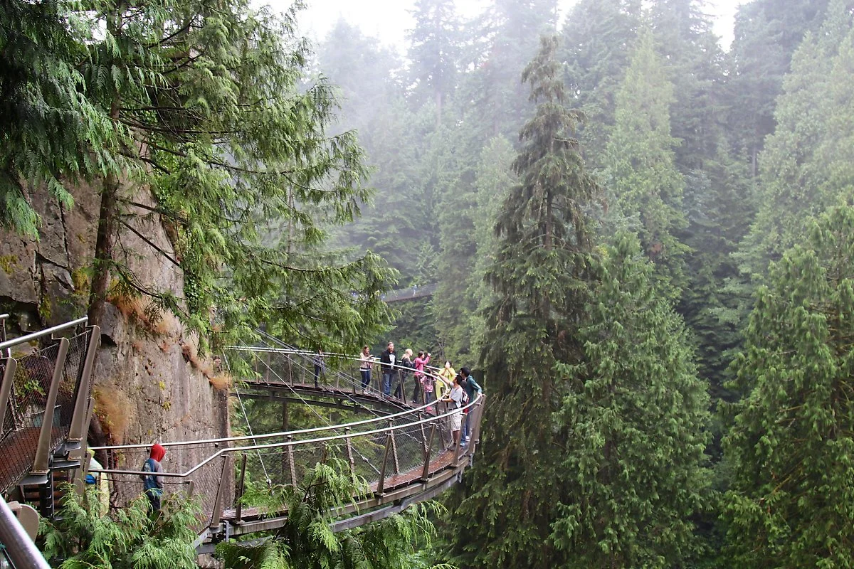 15071160816_a05d5f442d_k.jpg?type=w1200