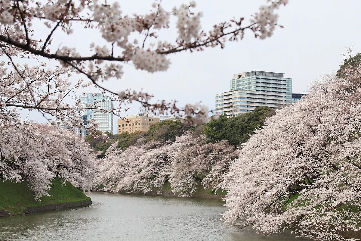 6938062728_9d9406aaa9_h.jpg?type=w1200