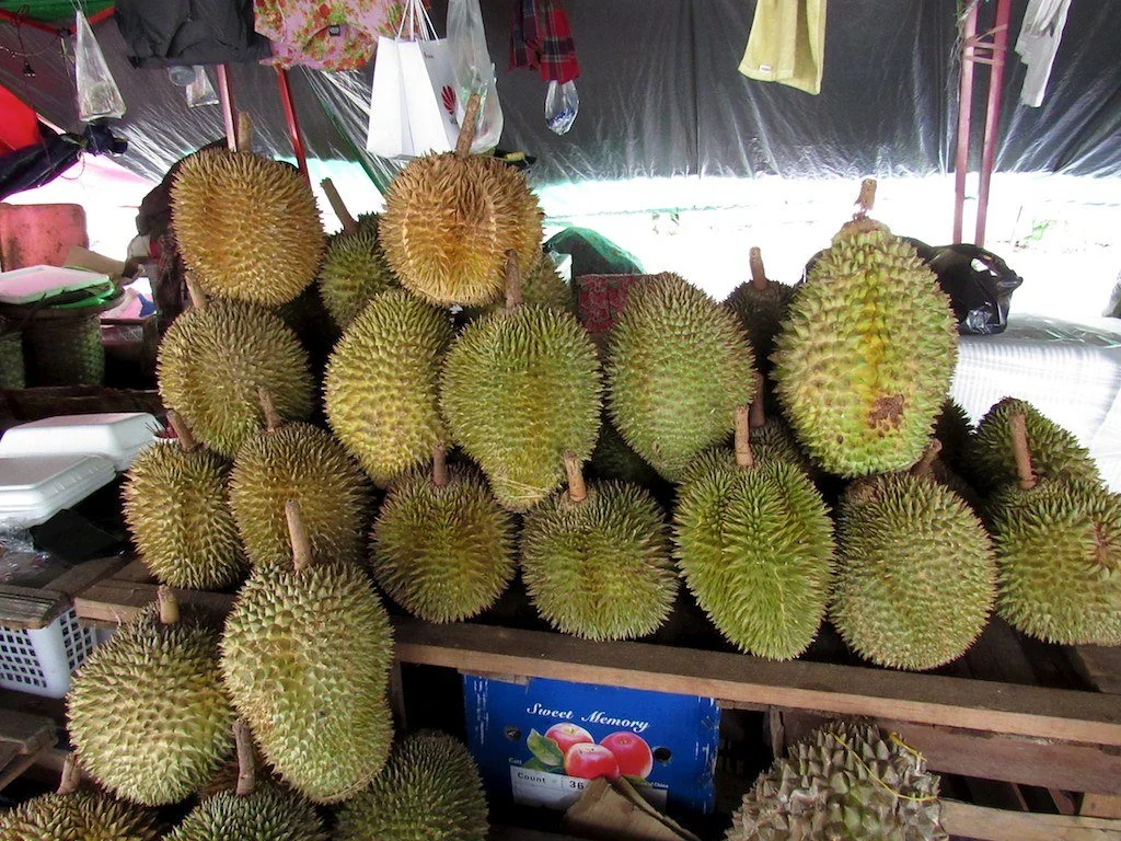 34939505961_e611cee06d_b.jpg?type=w1200