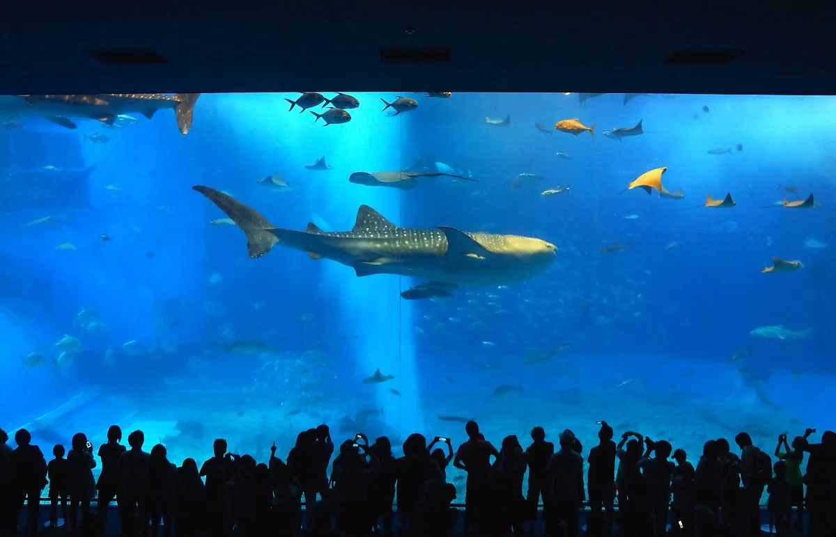 image_3789546881540283297467.jpg?type=w1200