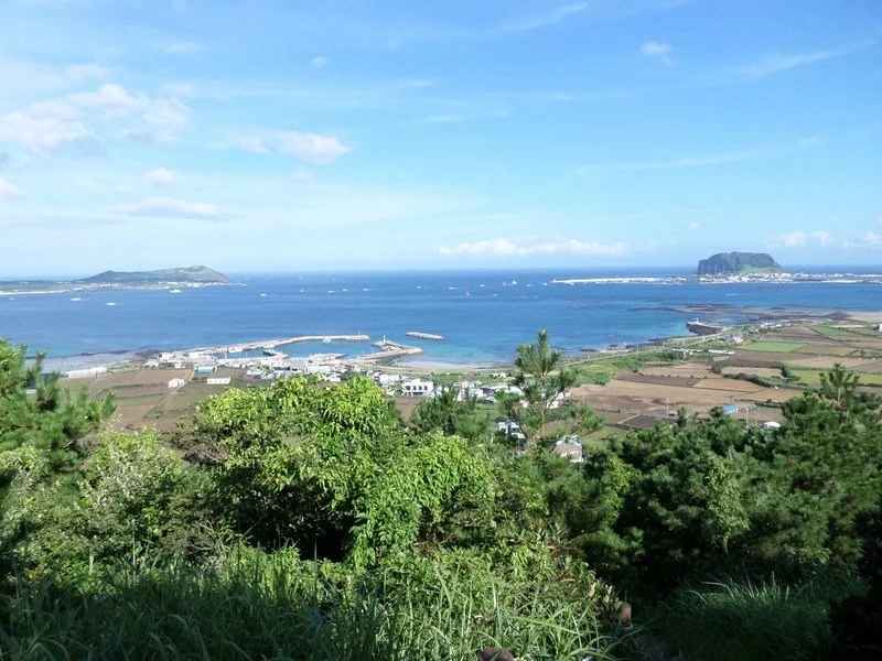 jimi-oreum-jeju.jpg?type=w1200