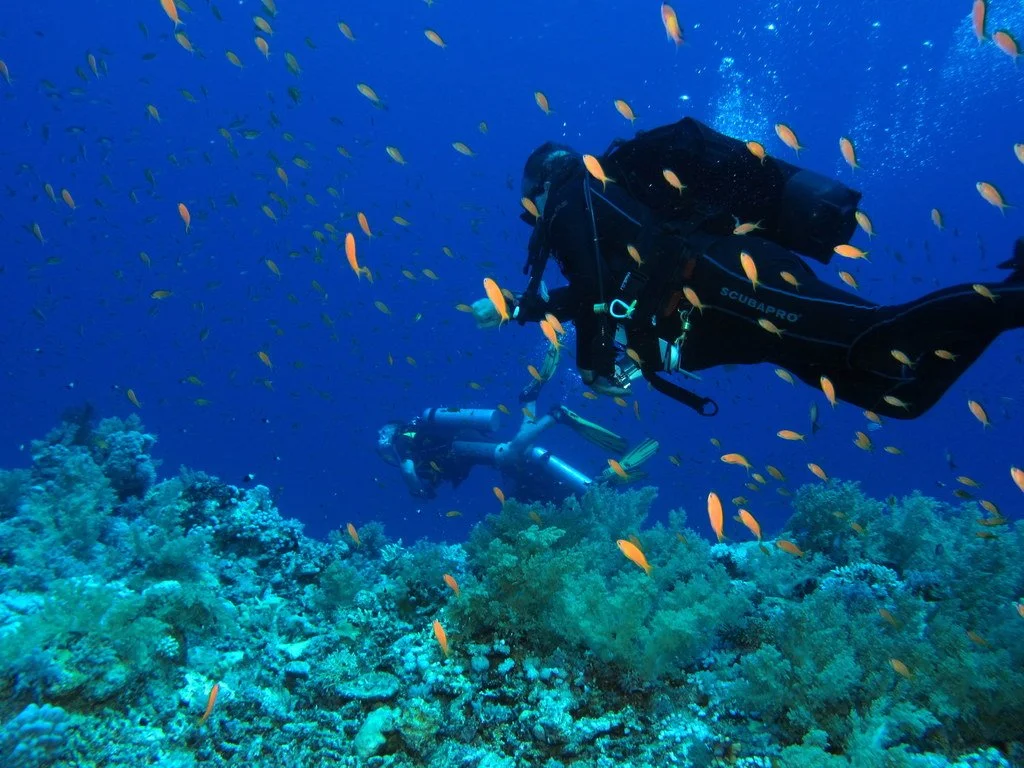 6195210144_cdf11729f2_o.jpg?type=w1200