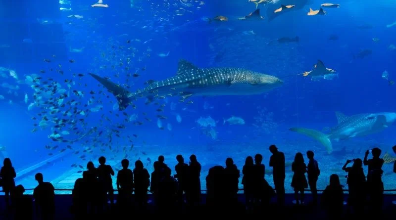 eyeem-26050274-82313804.jpg?type=w1200