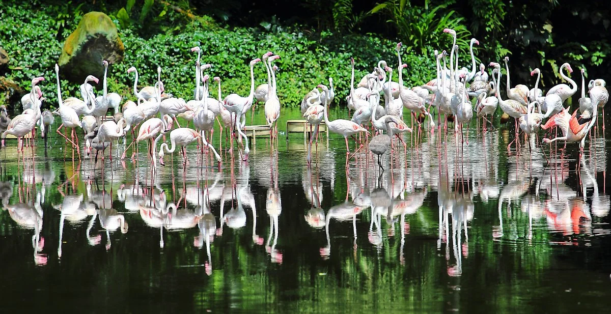 16101891605_5277262109_k.jpg?type=w1200