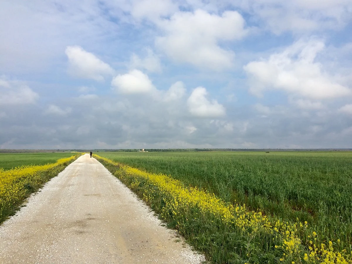 26941653662_abf81f45dd_o.jpg?type=w1200