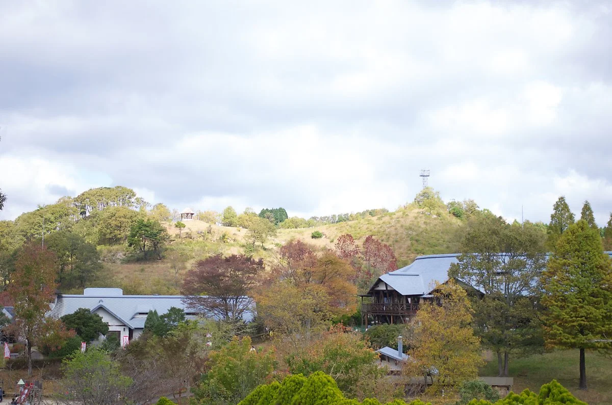 22750041031_e063b94bb8_k.jpg?type=w1200