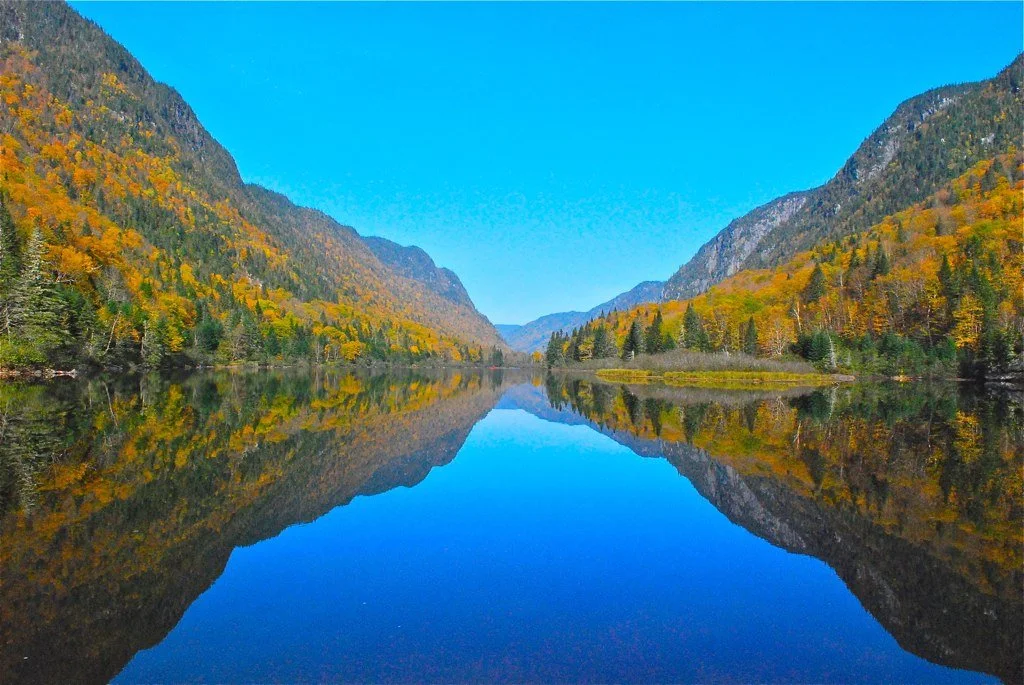 6452842435_e5e8548869_b.jpg?type=w1200