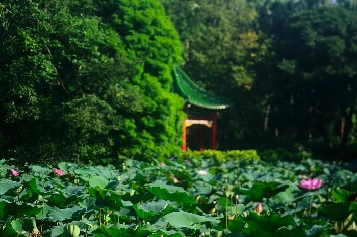 7458642158_d43b11013f_o_%281%29.jpg?type=w1200