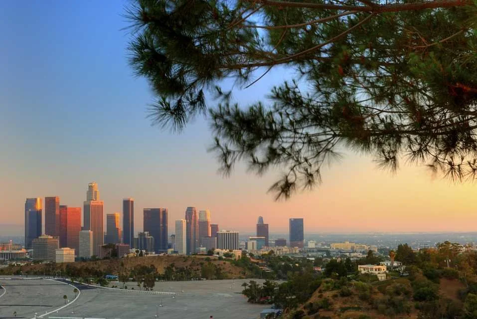 laxa_173355218.jpg?type=w1200