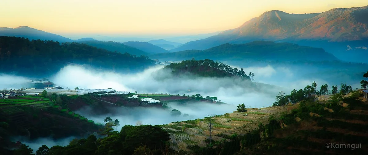 %EB%8B%AC%EB%9E%8F_%ED%94%8C%EB%A6%AC%EC%BB%A4_Dung_Le_Tien.jpg?type=w1200