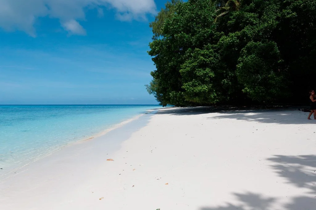 6524342333_583472f860_b.jpg?type=w1200