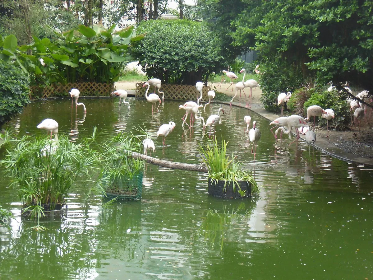 36387451014_70b5a316d4_k.jpg?type=w1200