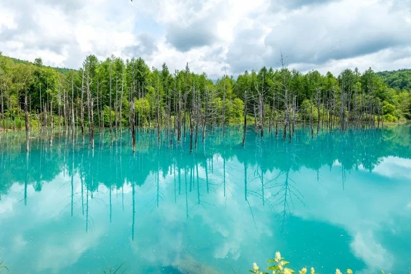 GettyImages-499728252.jpg?type=w1200