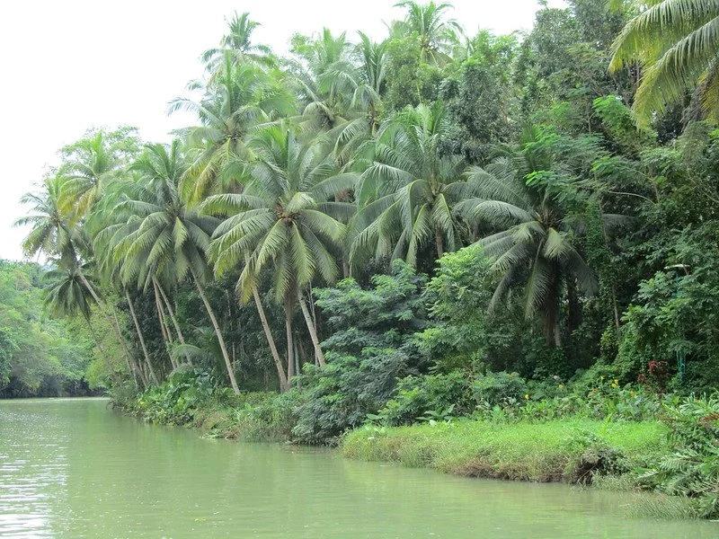 5536310827_0a795d5eb2_c.jpg?type=w1200